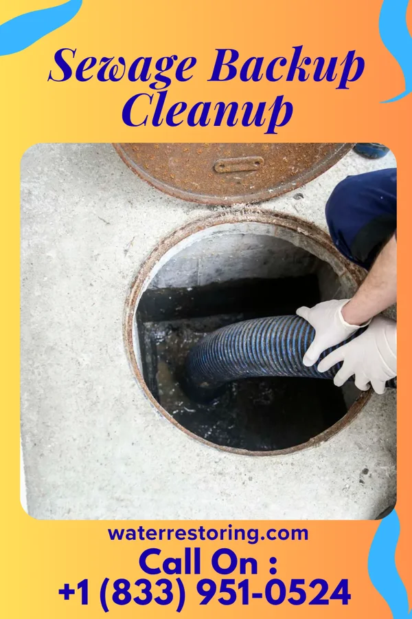 Sewage Backup Cleanup in Randolph, WI