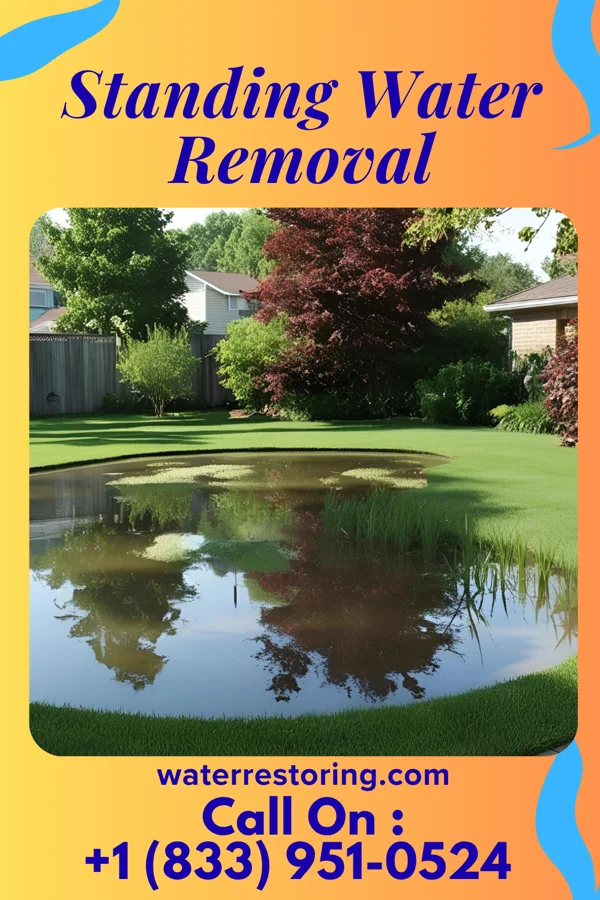 Standing Water Removal in Randolph, WI